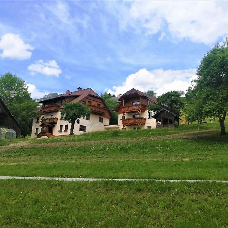 Ferienhof Gindl Und Gaestehaus Gindl Tauplitz Buitenkant foto