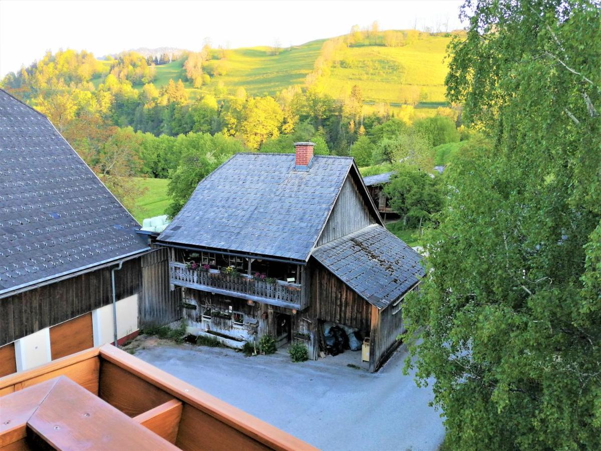 Ferienhof Gindl Und Gaestehaus Gindl Tauplitz Buitenkant foto